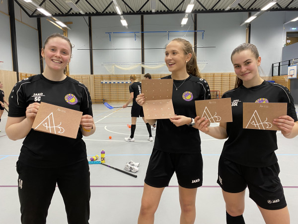 Norges hyggeligste dugnad - selg gode gjerninger
