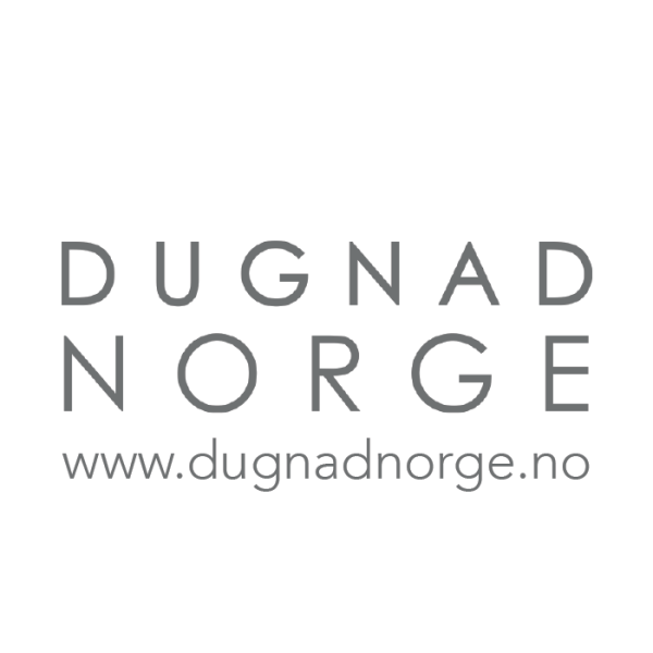 DugnadNorge AS - Selg 2 stk LED-lys