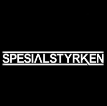 Spesialstyrken