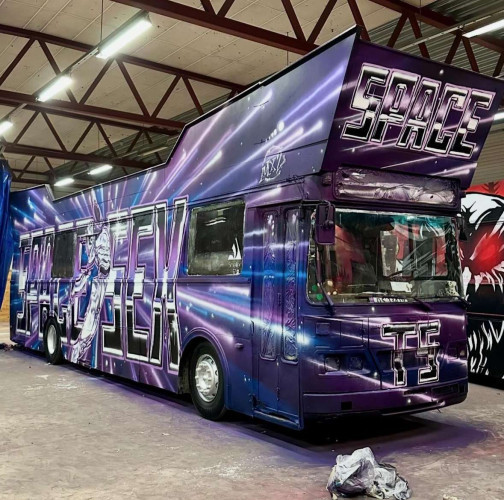 SVÆRE GÆRNE ÆRNA!