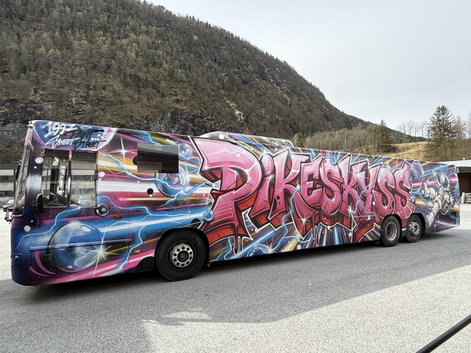 15m PIKEBUSS SELGES!!