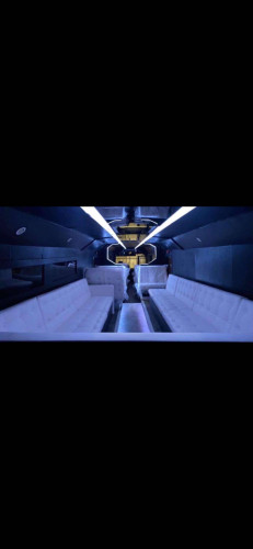 feite Gry, 15m selges