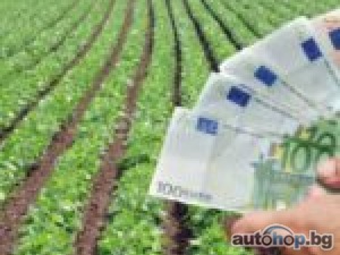 Loans borrowing without collateral