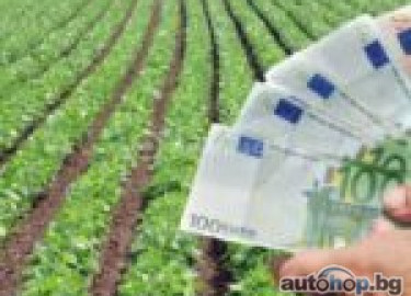 Loans borrowing without collateral