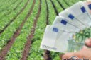 Loans borrowing without collateral