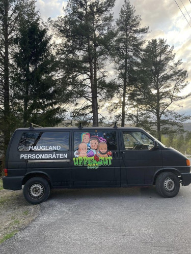 Volkswagen Caravelle 4WD