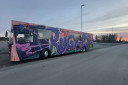 Hortensjentene Selger 12m Videre
