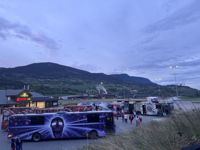 Feite SWINGEN til utleie