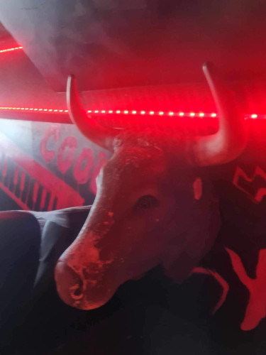 Russebuss Selges Russ 2024, 2025.