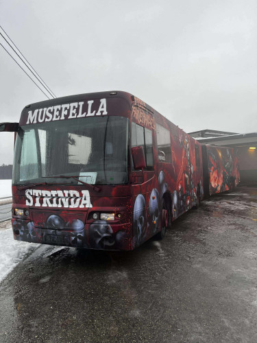 MUSEFELLA SELGES! til 08 eller overgira 09