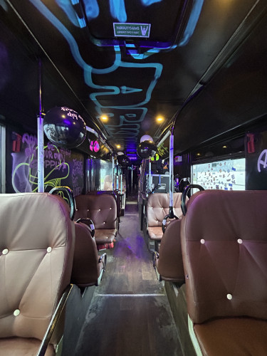 Leddbuss 50 plasser