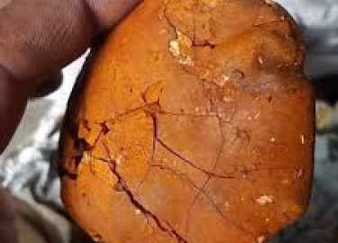 Buy cow /Ox Gallstone Available On Stock Now @ (WhatsApp: +237673528224)