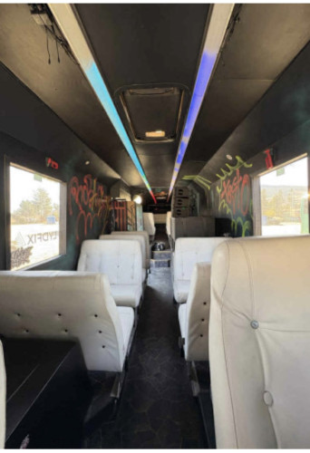 FEITE GRY ER NÅ TIL SALGS TIL 09 ELLER OVERGIRA 011 PLASS TIL JÆVLIGGGG MYE 012 CHICKS