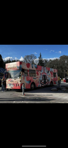 BIEN(Norges dødeligste buss)