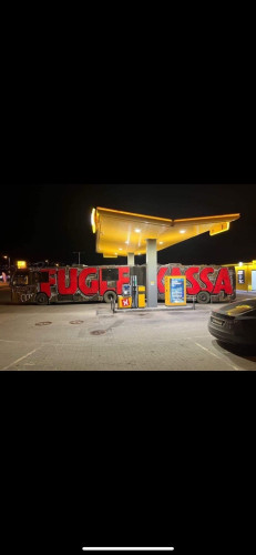 MUSEFELLA SELGES! til 08 eller overgira 09