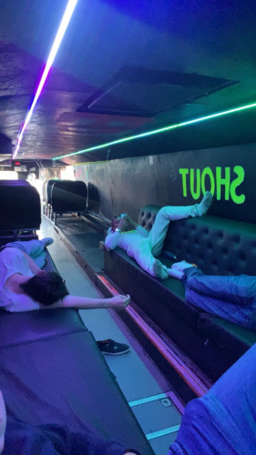 PORNOBUSSEN SELGES!