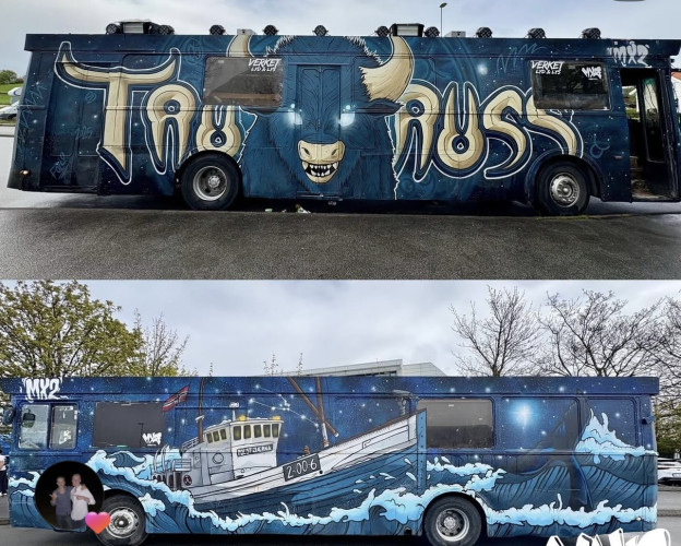 SVÆRE GÆRNE ÆRNA!