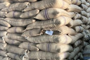 Green Coffee beans (Arabica Coffee) Grade: AA, A, and AB