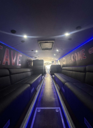 FITTEN Selgest til 08,09 eller 010