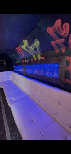 feite Gry, 15m selges