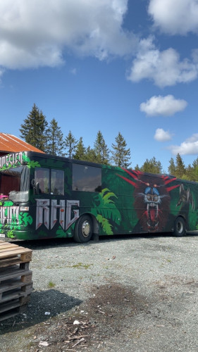 Jungelen/Stussen selges til 07,08 eller overgira 09