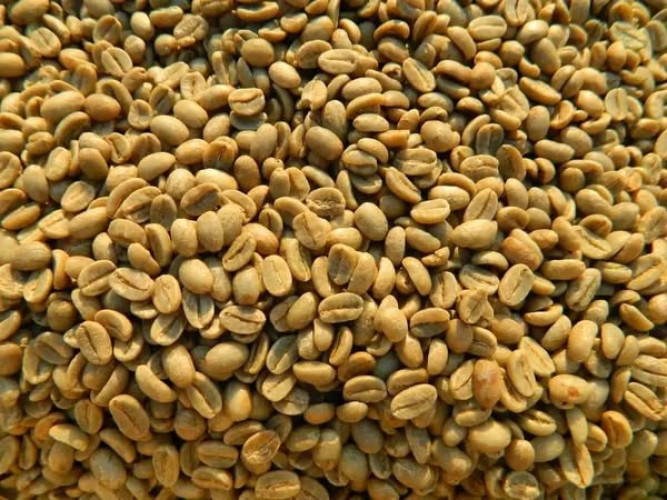 Green Coffee beans (Arabica Coffee) Grade: AA, A, and AB