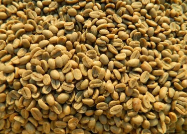 Green Coffee beans (Arabica Coffee) Grade: AA, A, and AB