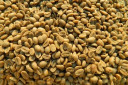 Green Coffee beans (Arabica Coffee) Grade: AA, A, and AB