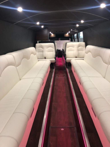 Russebusser Til Leie 2025 Og 2026. Konkurranse dyktige Priser, Inkl Lyd Lys Og eksteriør.