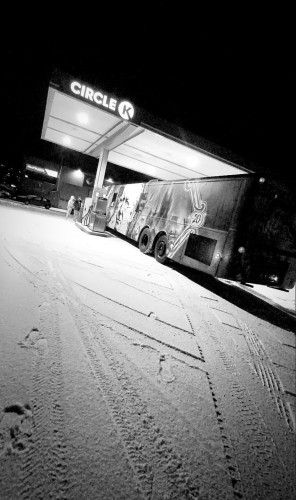 FEITE GRY ER NÅ TIL SALGS TIL 09 ELLER OVERGIRA 011 PLASS TIL JÆVLIGGGG MYE 012 CHICKS