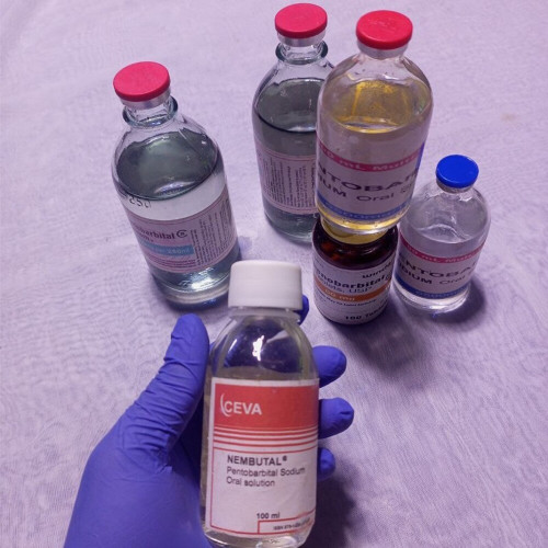 Kjøp smertestillende | MDMA, 2CB, A-PVP, 3CMC | OZEMPIC | STEROIDER (Ecstasy/Nembutal) | Heroin Kokain (Telegram ID: @Loyaltyco)
