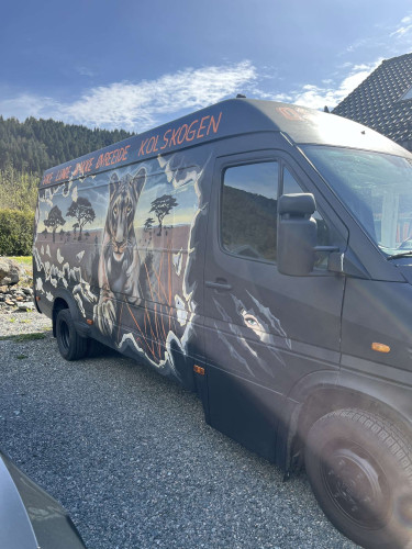 Mercedes-Benz Sprinter Russebil