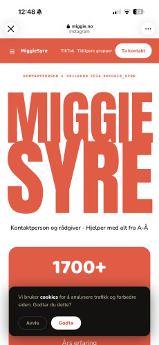 Veiledning